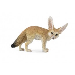 FENNEC FOX