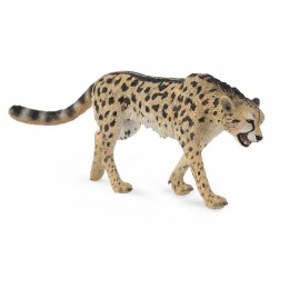 GUEPARDO -L- 88608 COLLECTA