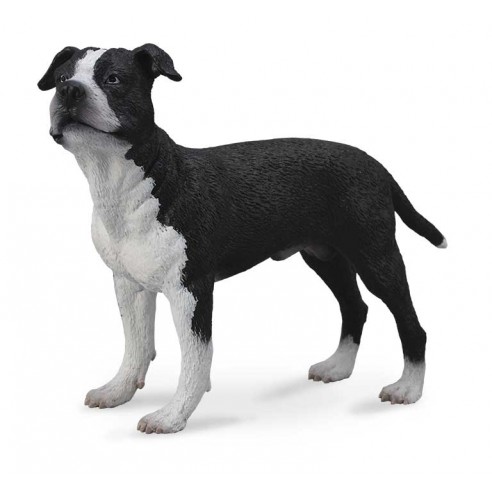 AMERICAN STAFFORDSHIRE TERRIER -L-...