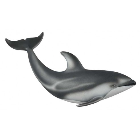 PACIFIC WHITE-SIDED DOLPHIN