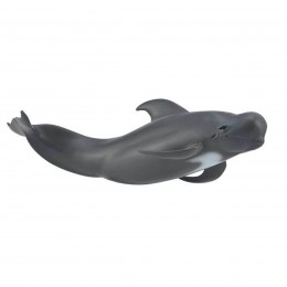 PILOT WHALE