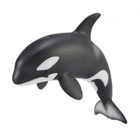 ORCA CALF