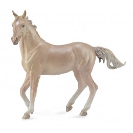 AKHAL-TEKE MARE PERLINO