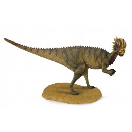 PACHYCEPHALOSAURUS  -M-...