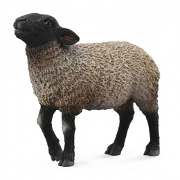 SUFFOLK