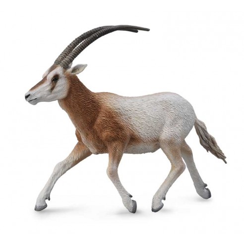 SCIMITAR-HORNED ORYX