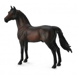 MORGAN STALLION - BAY
