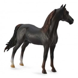 MORGAN STALLION - CHESTNUT