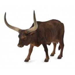 ANKOLE-WATUSI COW