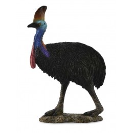 SOUTHERN CASSOWARY