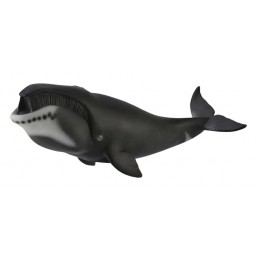BOWHEAD WHALE
