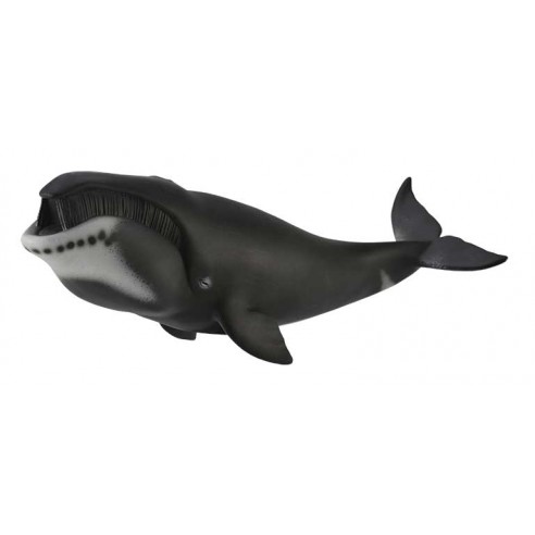 Collecta Bowhead Whale 88652 A Marine Animal Figure Educational Toy 