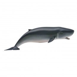 PYGMY SPERM WHALE