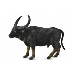 WILD WATER BUFFALO