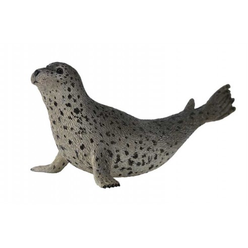 SPOTTED SEAL