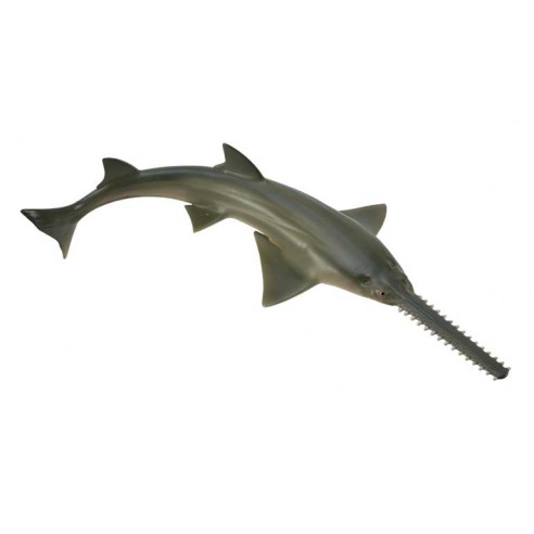 SAWFISH