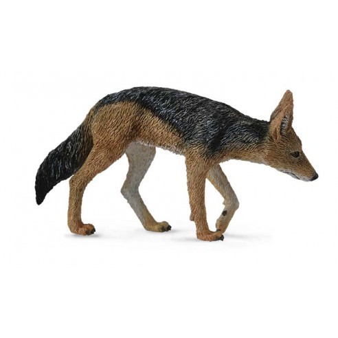 BLACK-BACKED JACKAL