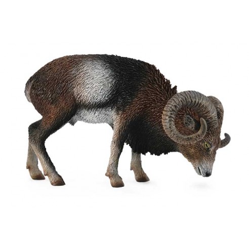 EUROPEAN MOUFLON