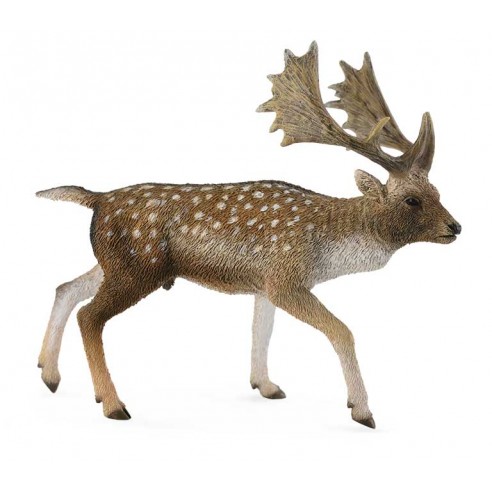 FALLOW DEER MALE