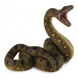 GREEN ANACONDA