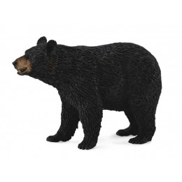 AMERICAN BLACK BEAR