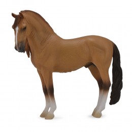 CAMPOLINA STALLION - RED DUN