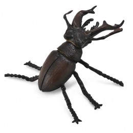 STAG BEETLE