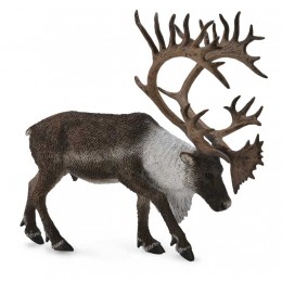 WOODLAND CARIBOU