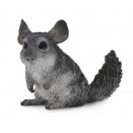 LONG-TAILED CHINCHILLA