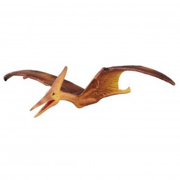 PTERANODON