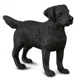 LABRADOR RETRIEVER -M-...