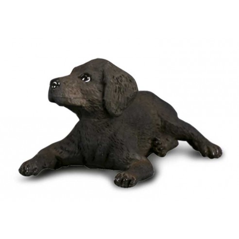 CACHORRO DE LABRADOR RETRIEVER -S-...