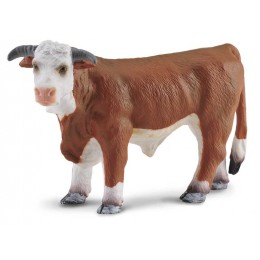 HEREFORD BULL -> REPLACED...