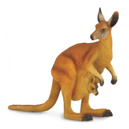 CANGURO -L- 88302 COLLECTA