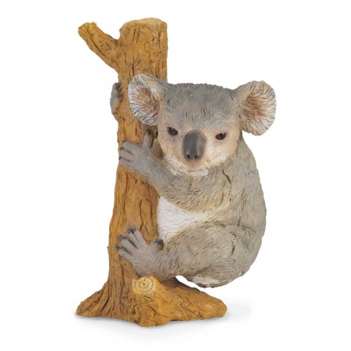 KOALA BEAR CLIMBING