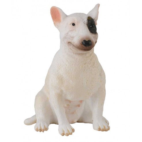 BULL TERRIER - FEMALE