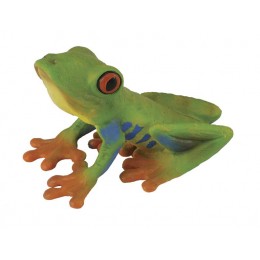 RED-EYED TREE FROG