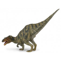 AFROVENATOR -L- 88427 COLLECTA