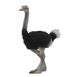 OSTRICH