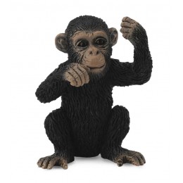 CHIMPANZEE CUB - THINKING