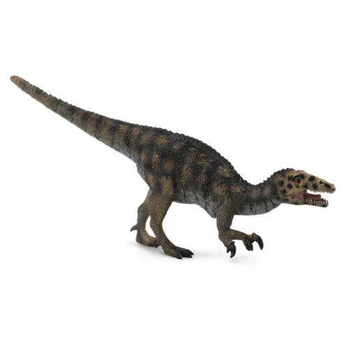 AUSTRALOVENATOR -L- 88505 COLLECTA