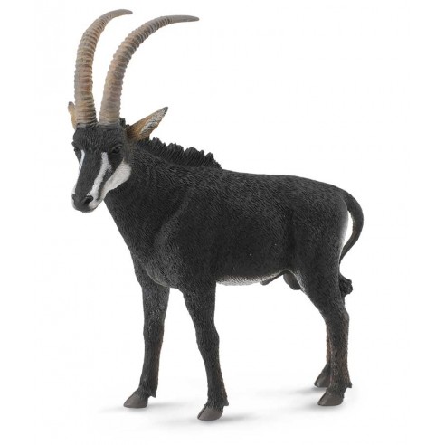 GIANT SABLE ANTELOPE MALE