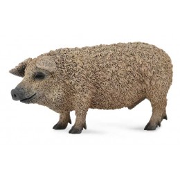 HUNGARIAN PIG