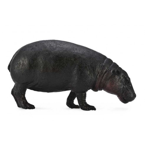 PYGMY HIPPOPOTAMUS