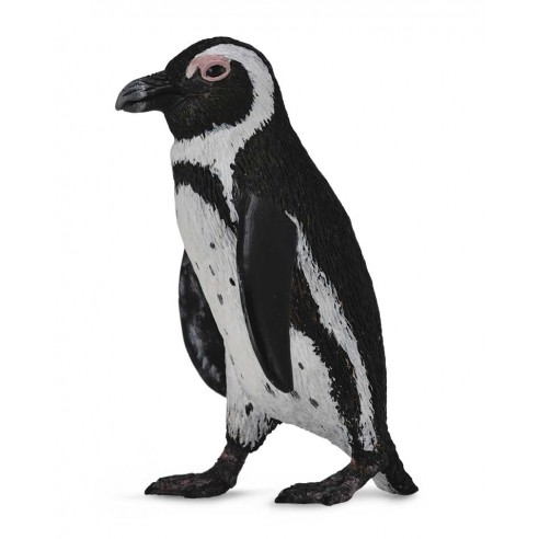 SOUTH AFRICAN PENGUIN