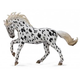  KNABSTRUPPER MARE - BLACK...