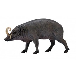 DROP BABIRUSA -L- 88727...