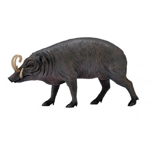 DROP BABIRUSA -L- 88727 COLLECTA