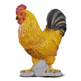 COCKEREL