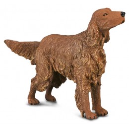 IRISH RED SETTER